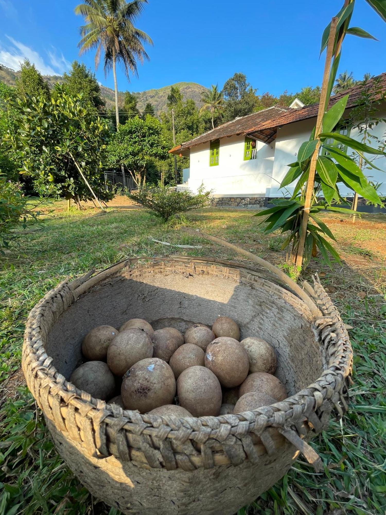 Calm Shack - 2 Bedroom-Boutique Farm Stay Munnar Exterior foto